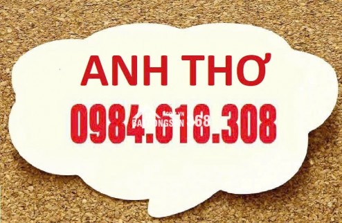 Biệt thự khủng Mỹ Đình rẻ giật mình 200m2 chỉ 55 tỷ LH 0984618308